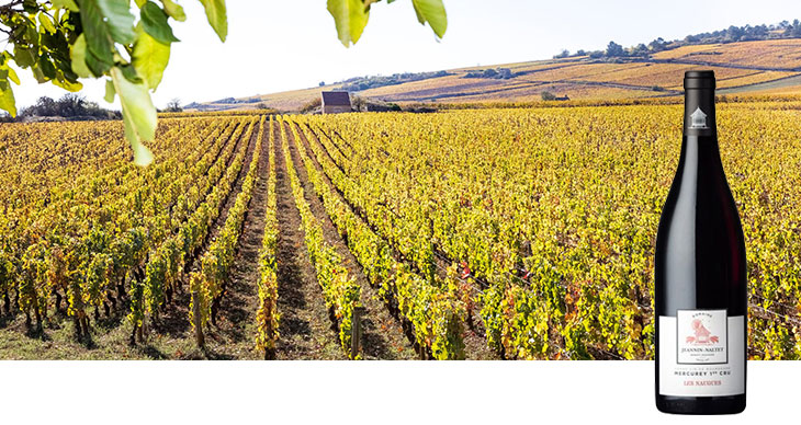 Jeannin-Naltet Mercurey 1er Cru Les Naugues 2021