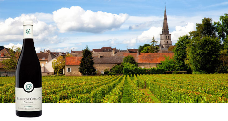 Lucien Muzard Pommard Les Cras Vieilles Vignes 2022