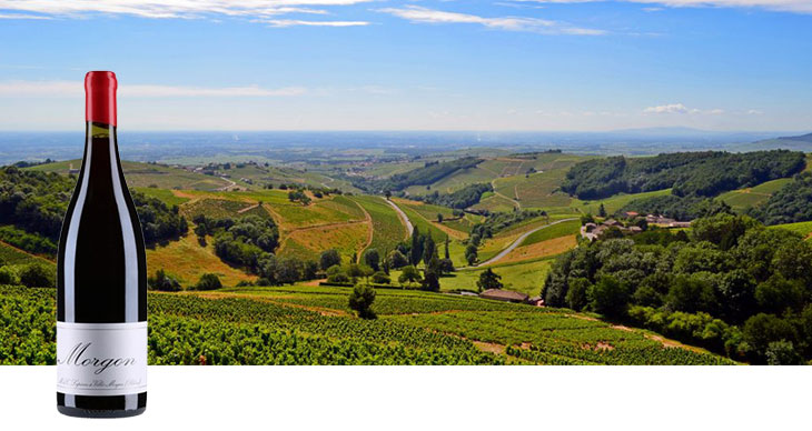 Dauvergne & Ranvier Gigondas Grand Vin 2022