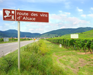 Route des vins d'Alsace