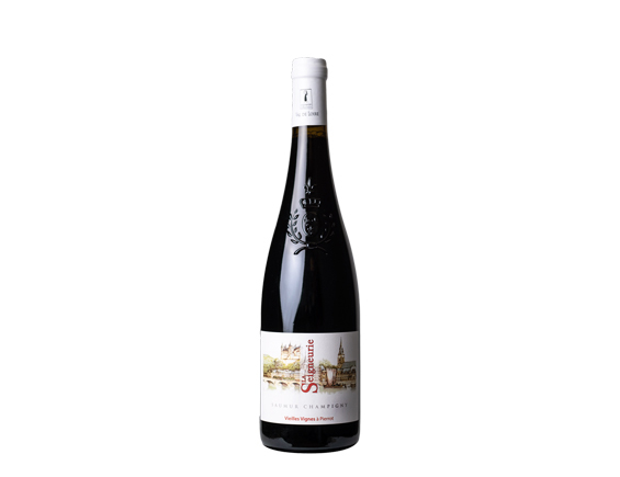 Vignes Pierrot à Saumur-Champigny 2020 - Seigneurie La wineandco Vieilles