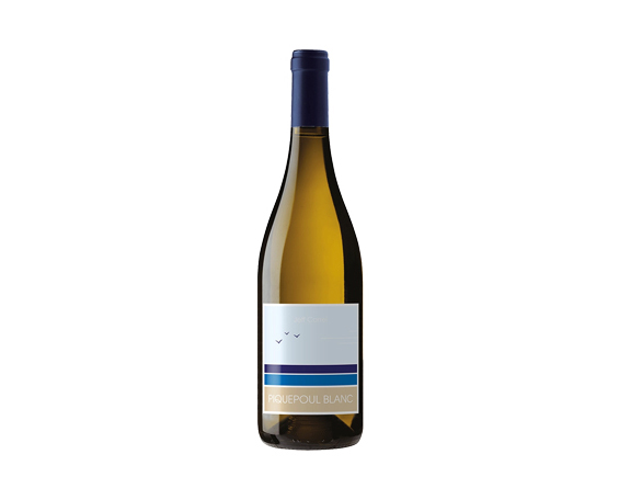 Piquepoul Blanc Iode & Mer 2023 By Jeff Carrel