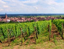 Alsace