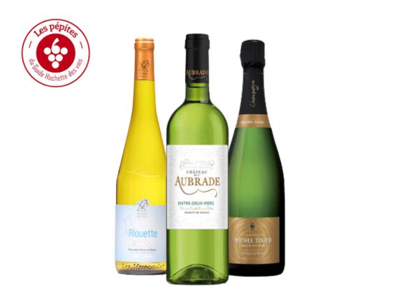 Les 6 pépites du Guide Hachette 2025 + carte des vins de France