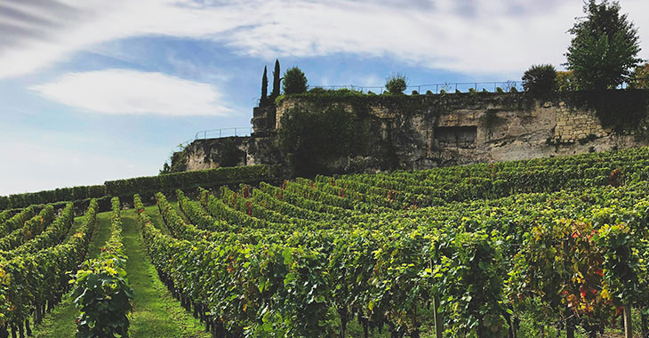 appellations du vignoble bordelais