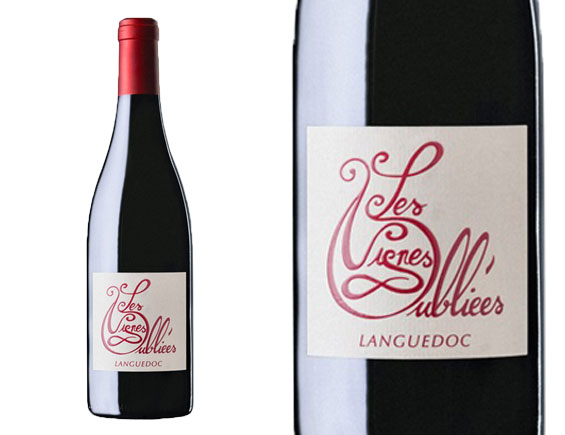 Les Vignes Oubliées Autour Du Cinsault 2024